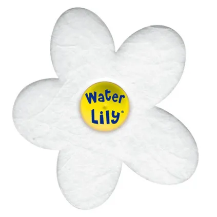 Absorbant Water Lily - boite de 6