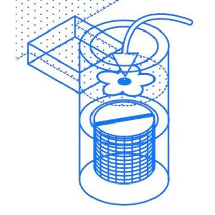 Absorbant Water Lily - boite de 6