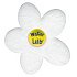 Absorbant Water Lily - boite de 6