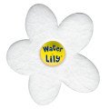 Absorbant Water Lily - boite de 6