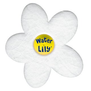Absorbant Water Lily - boite de 6