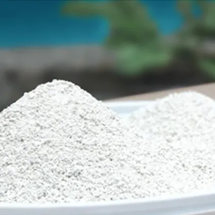 Purissimeau Chlorit - Hypochlorite de calcium granulés - Désinfection