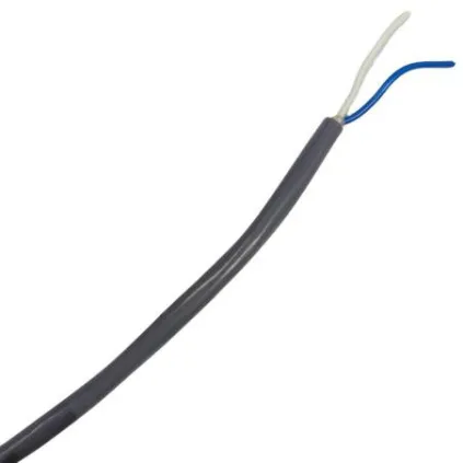 Cordon sonde chlore (2 brins) pour régulations