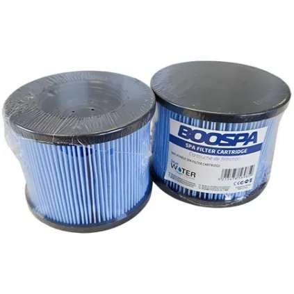 Lot 2 Filtres spa gonflable - BlueWater Filtration