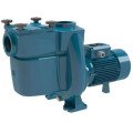 Pompes de filtration piscine Calpeda NMPM - Monophasé