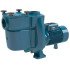 Pompes de filtration piscine Calpeda NMP - Triphasé