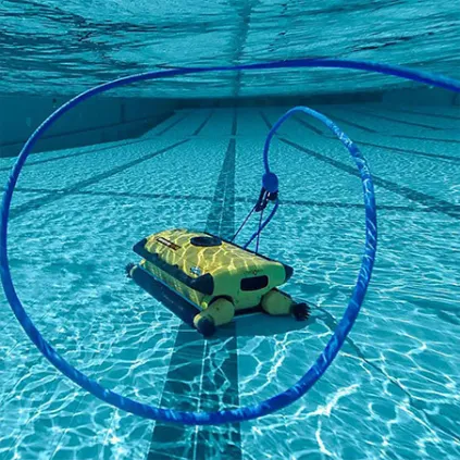 Robot électrique Dolphin Wave 300XL - Brosses PVC
